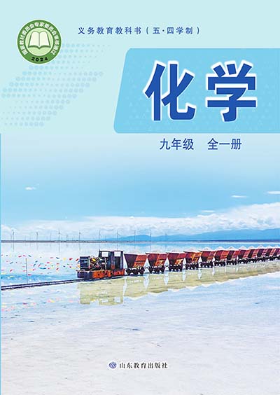 2024版鲁教版初中化学(五四学制）九年级全一册电子课本完整版