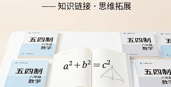  上海初中数学六年级资源分享